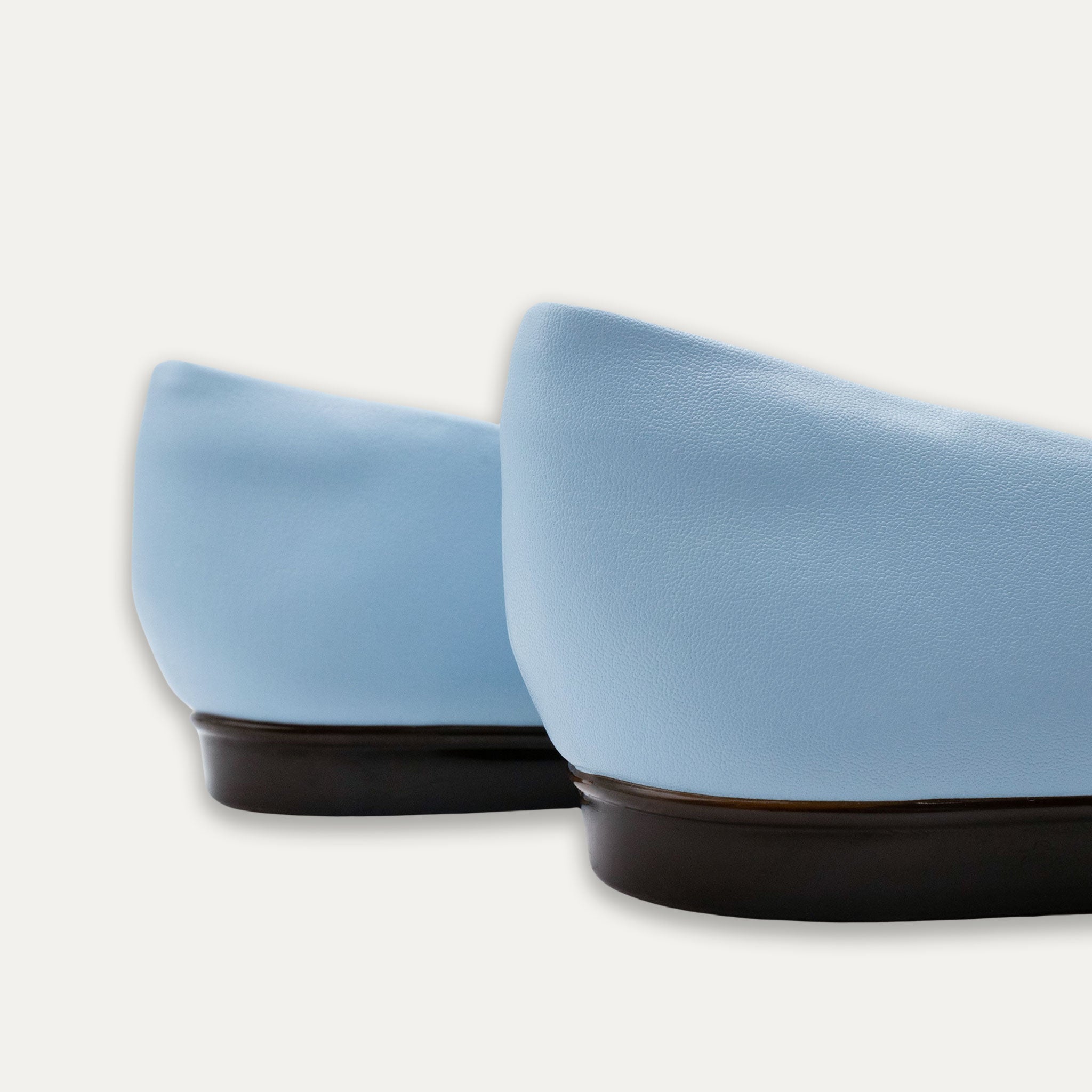 Carmen Pointed Toe Flats Blue