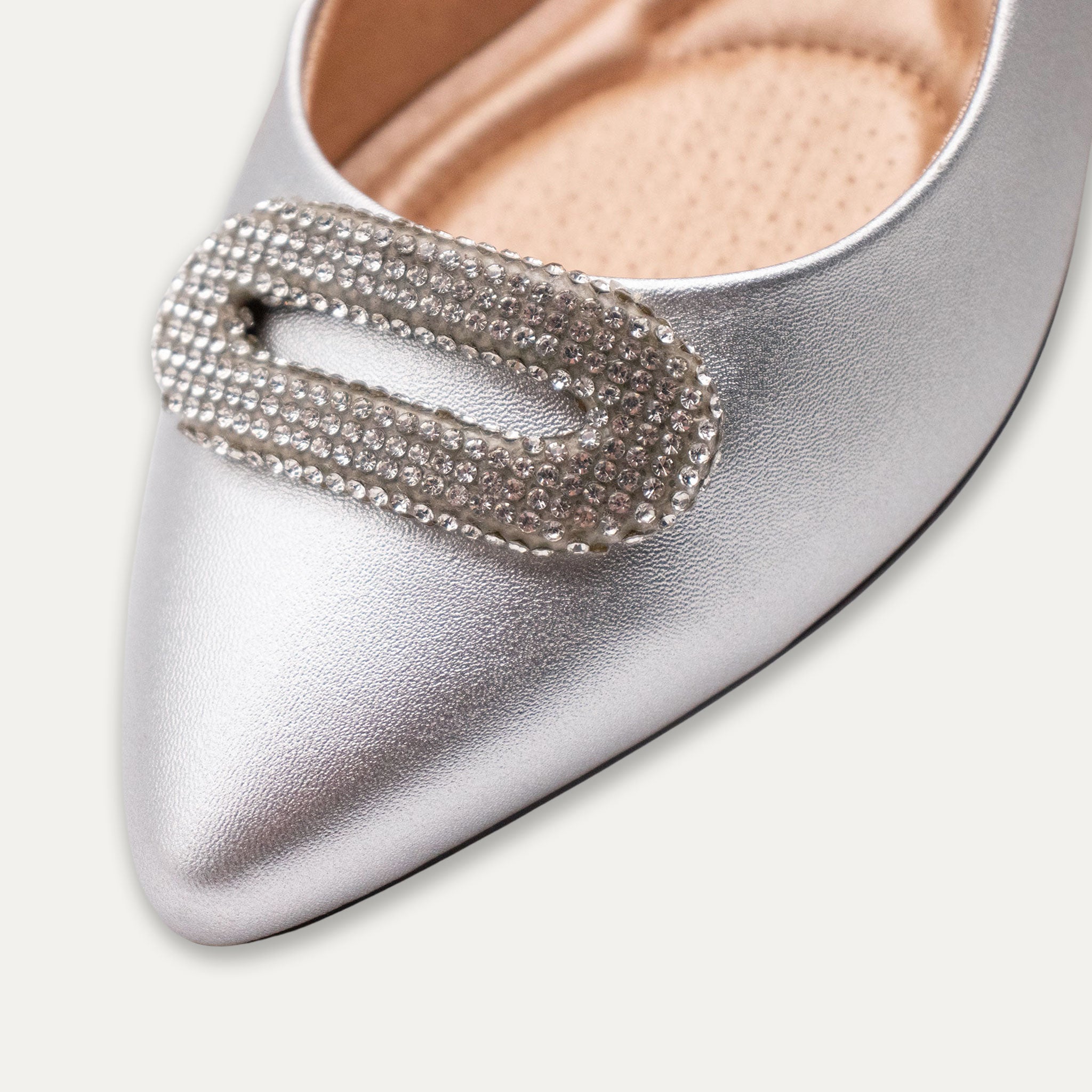 Adelina Pointed Toe Flats Light Silver