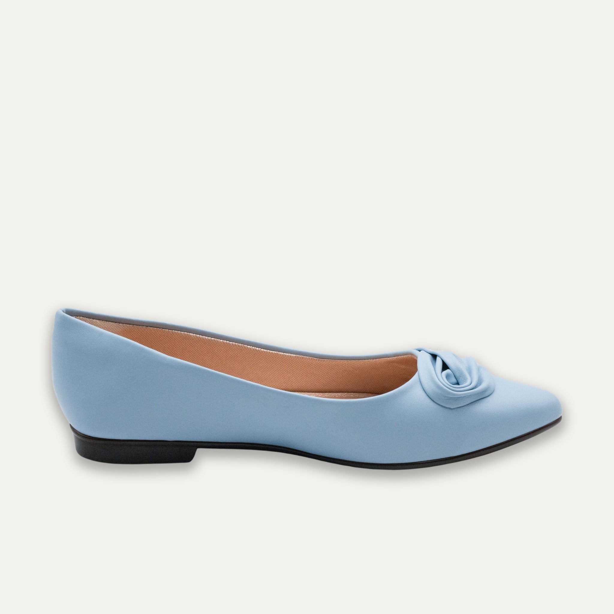 Carmen Pointed Toe Flats Blue