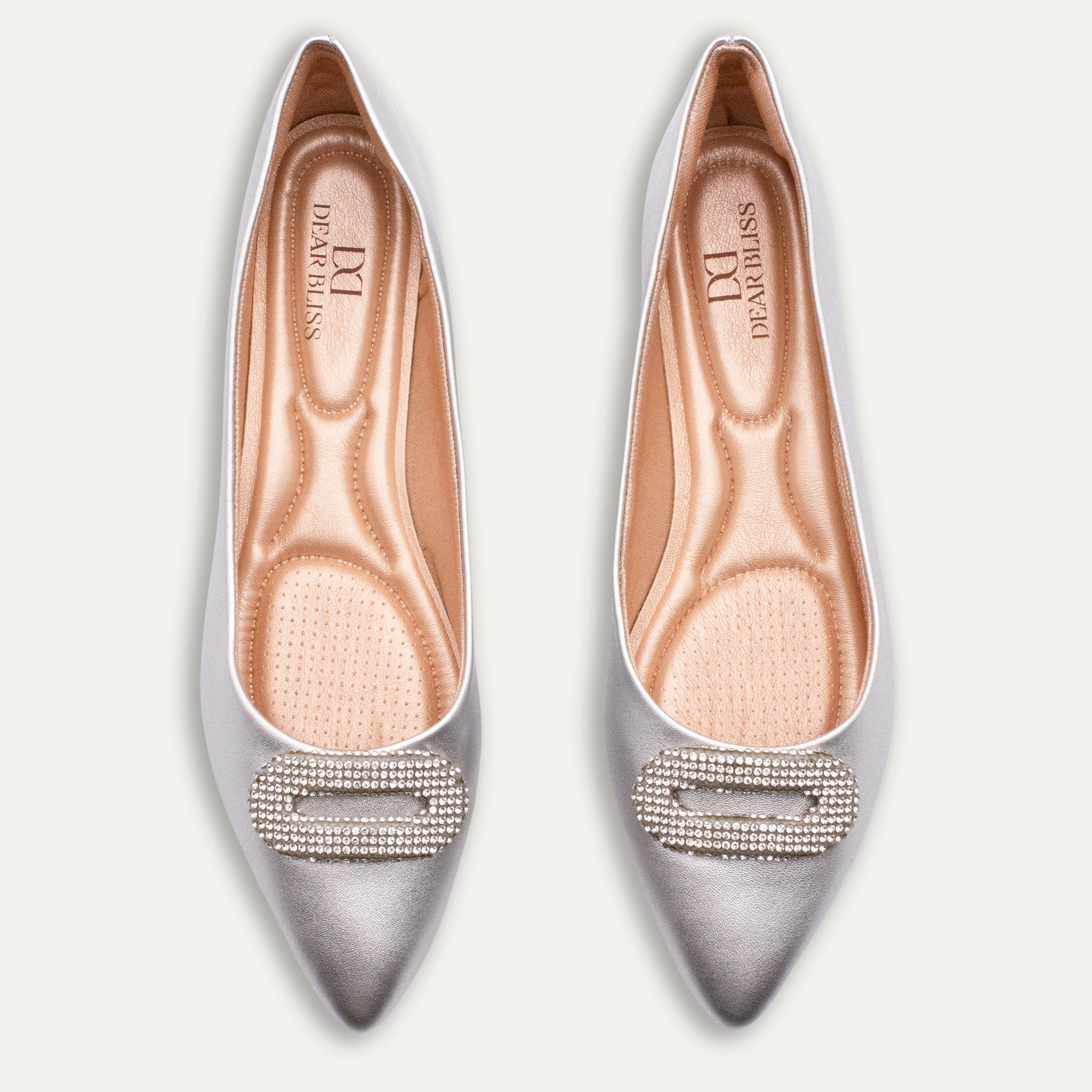 Adelina Pointed Toe Flats Light Silver